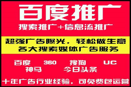 SEM广告投放的竞价策略与效果评估案例